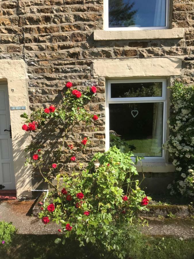 Mayfield Cottage Burtree Ford Eksteriør bilde